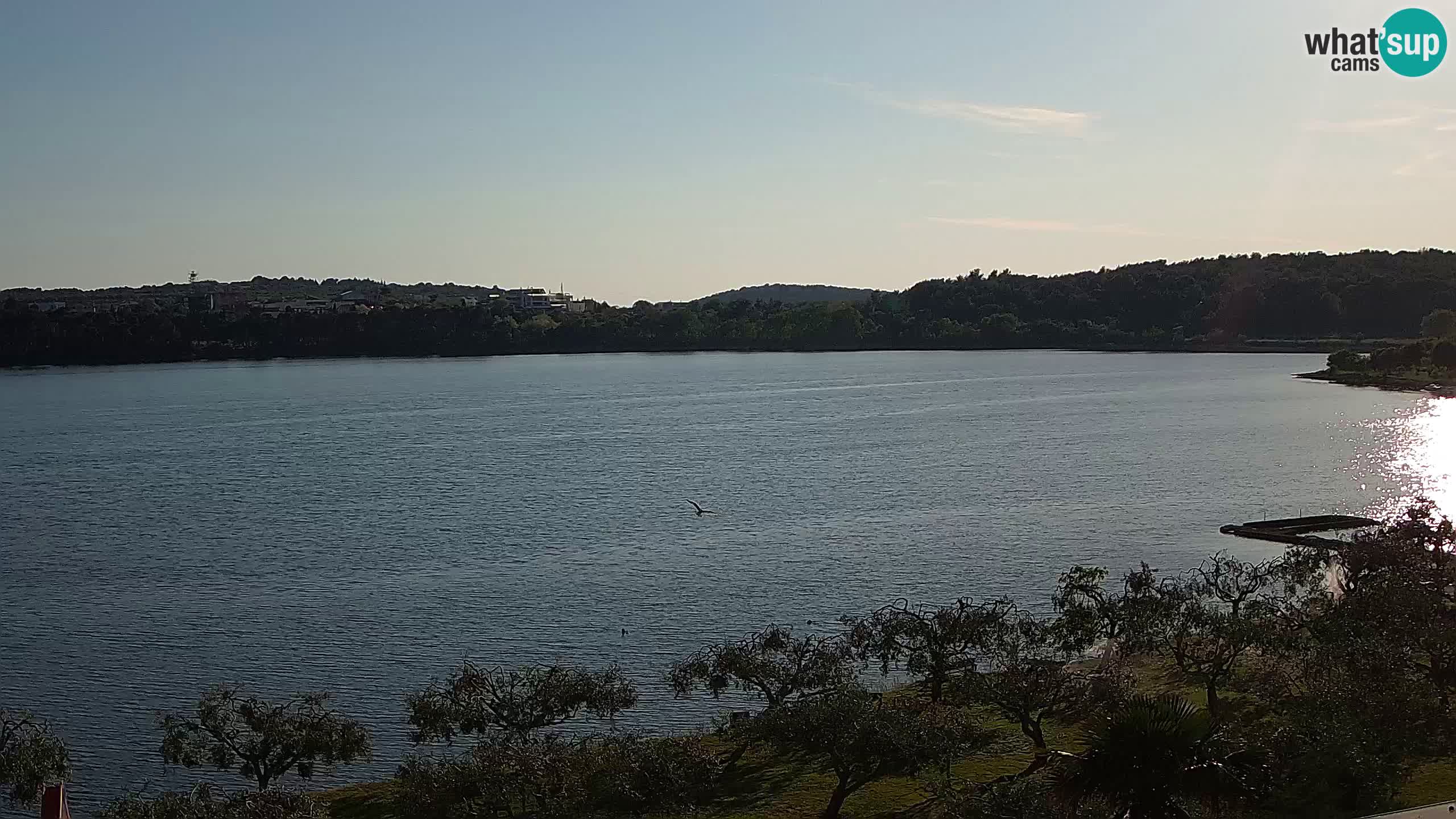 Webcam en vivo Pomer – Šćuza – Medulin – Istria – Croacia