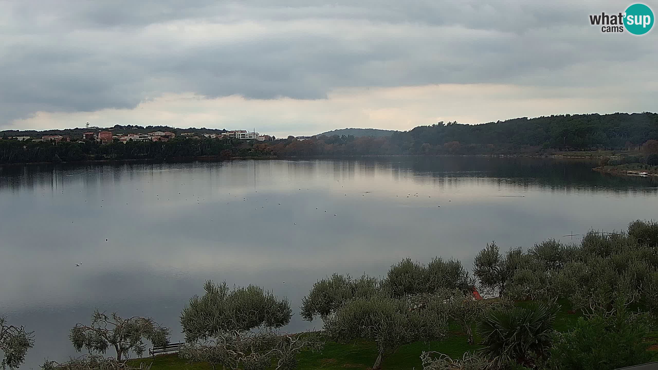 Live-Webcam Pomer – Šćuza – Medulin – Istrien – Kroatien