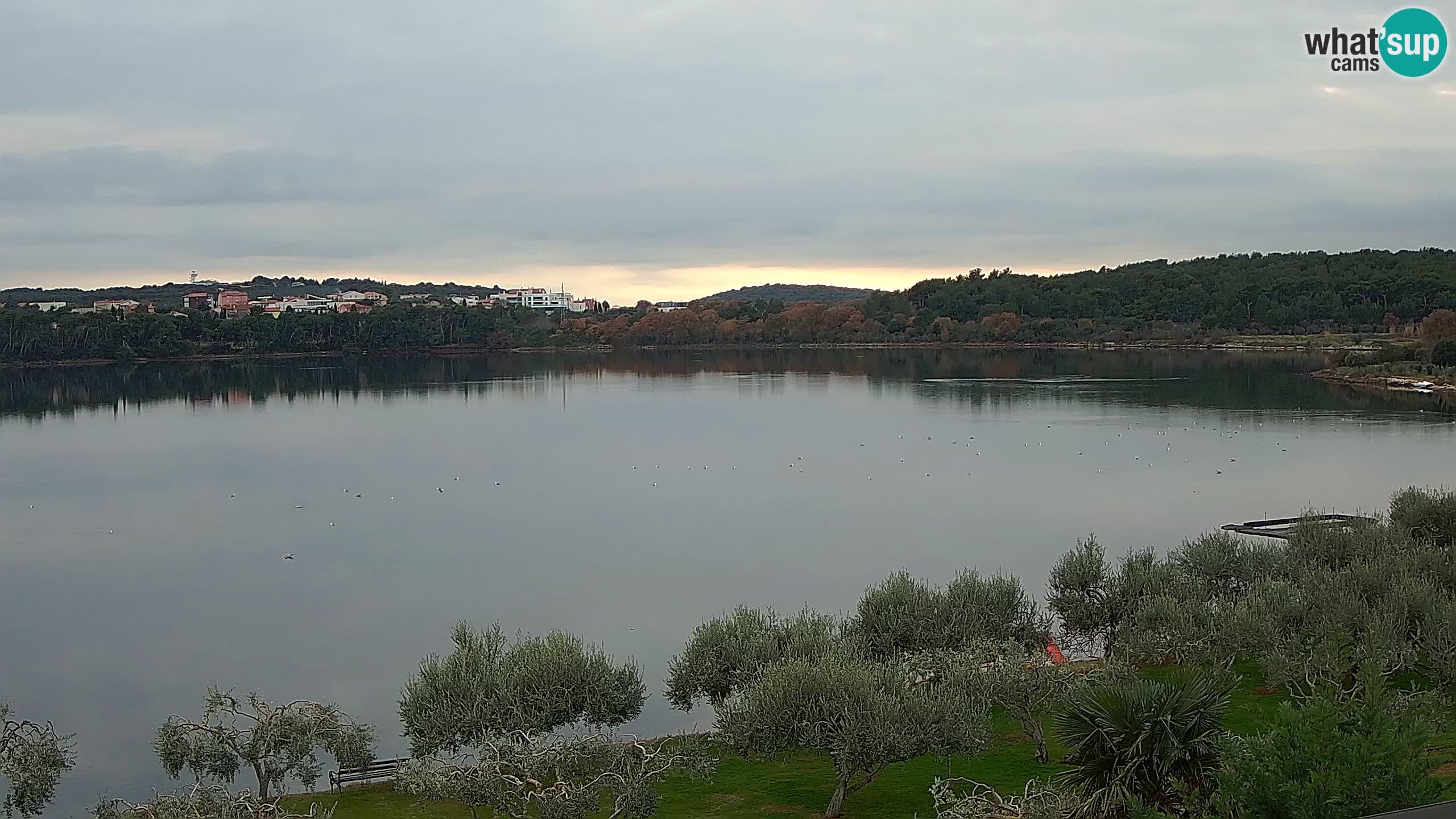 Webcam en vivo Pomer – Šćuza – Medulin – Istria – Croacia