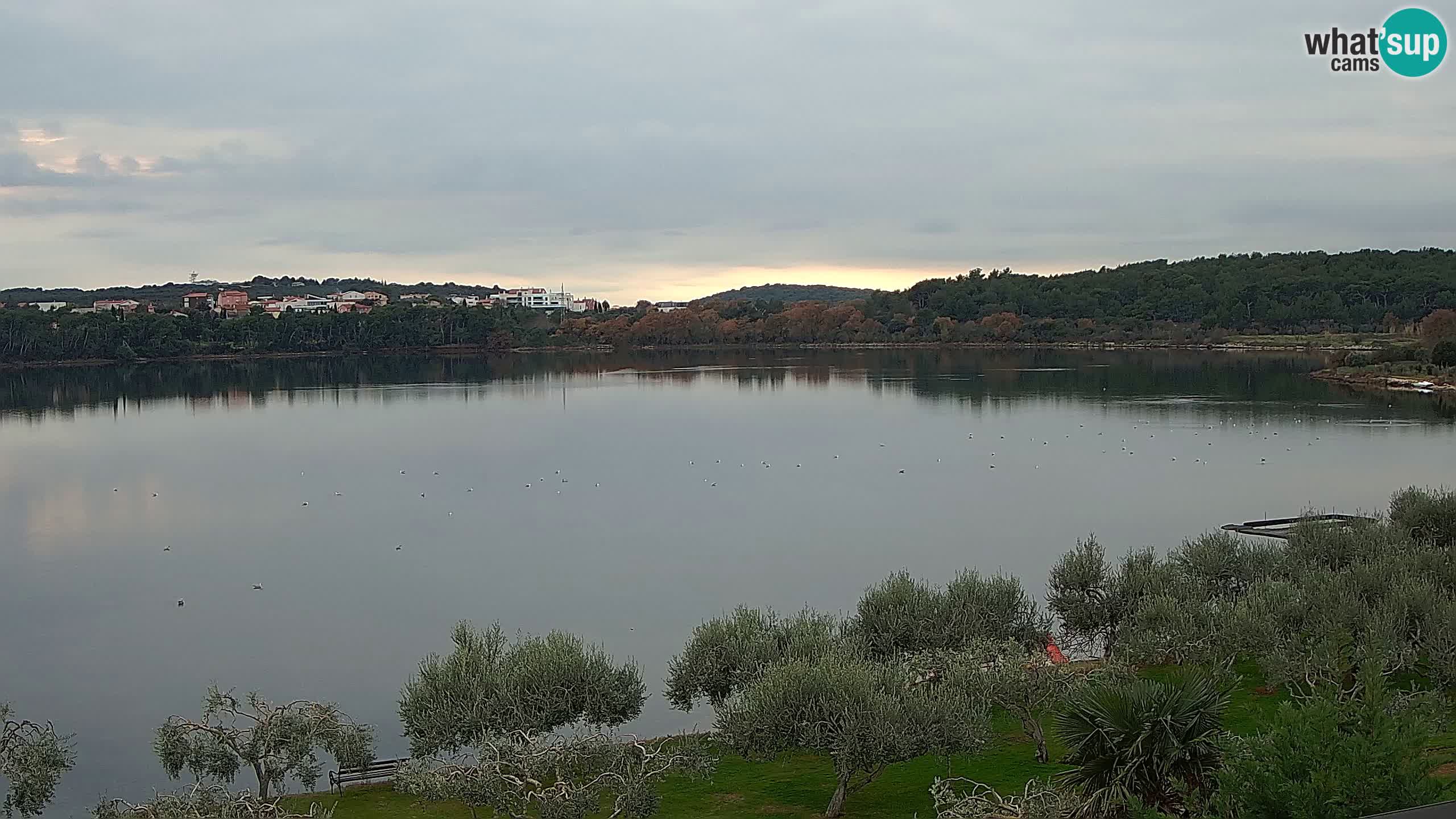 Spletna kamera v živo Pomer – Šćuza – Medulin – Istra – Hrvaška
