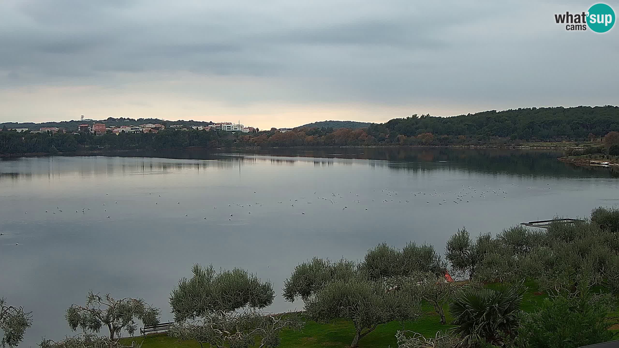 Webcam en direct Pomer – Šćuza – Medulin – Istrie – Croatie