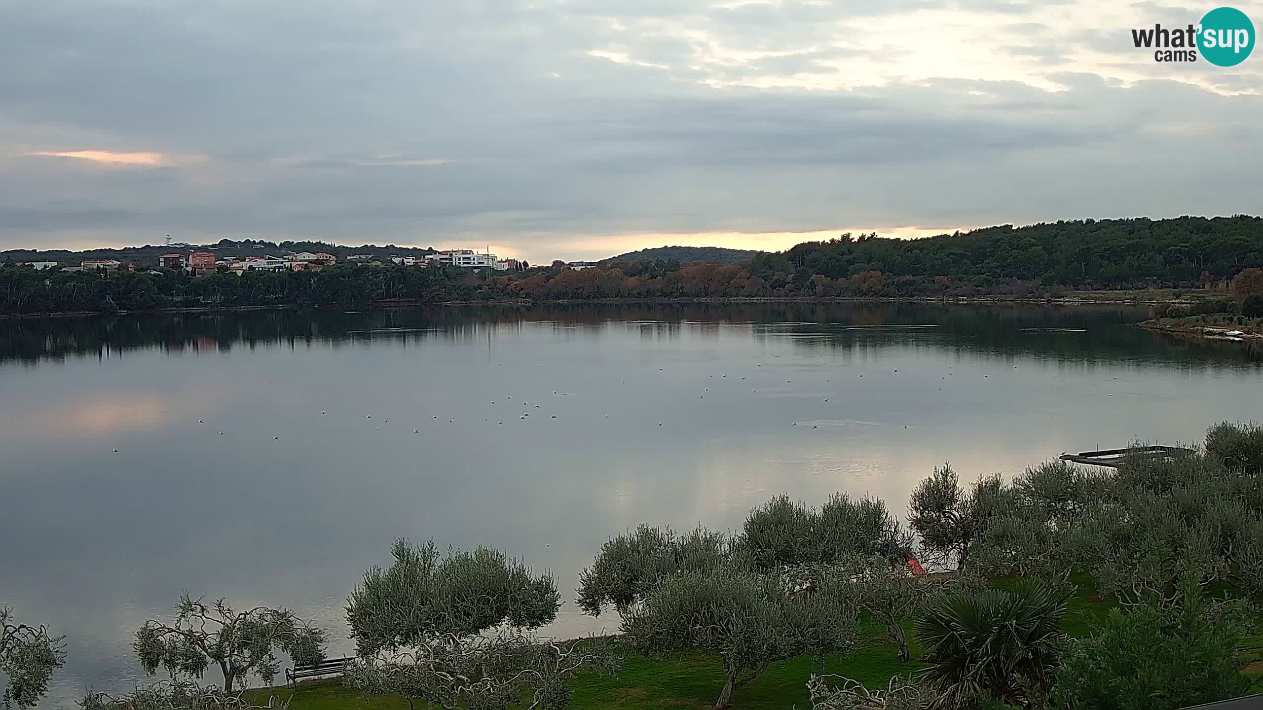 Webcam en direct Pomer – Šćuza – Medulin – Istrie – Croatie