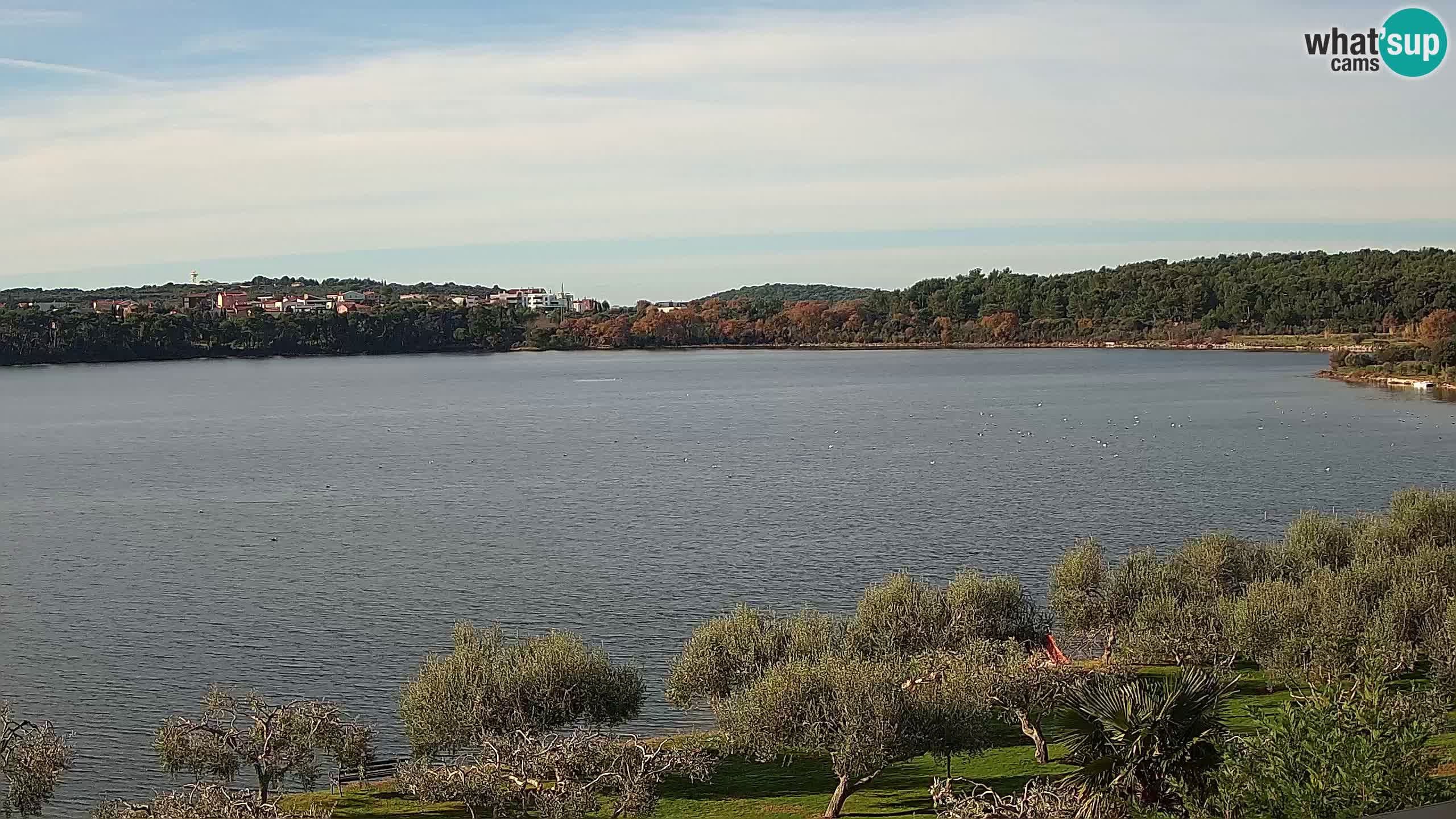 Spletna kamera v živo Pomer – Šćuza – Medulin – Istra – Hrvaška