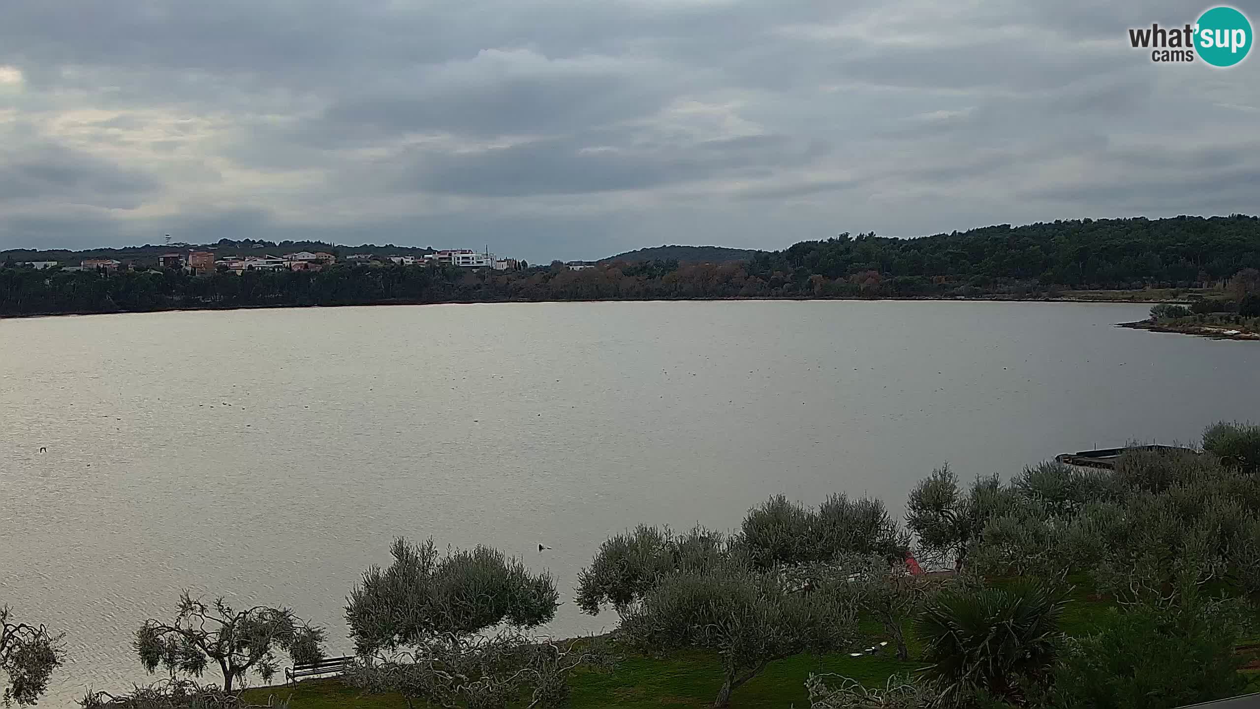 Spletna kamera v živo Pomer – Šćuza – Medulin – Istra – Hrvaška