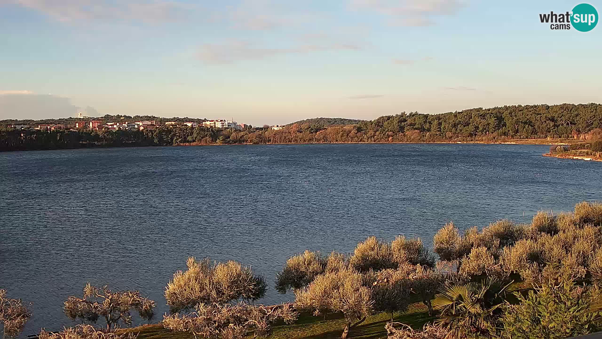 Web kamera uživo Pomer – Šćuza – Medulin – Istra – Hrvatska