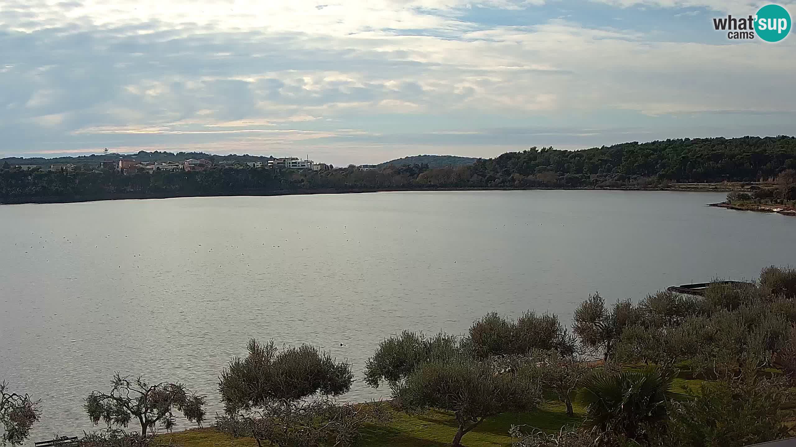 Web kamera uživo Pomer – Šćuza – Medulin – Istra – Hrvatska