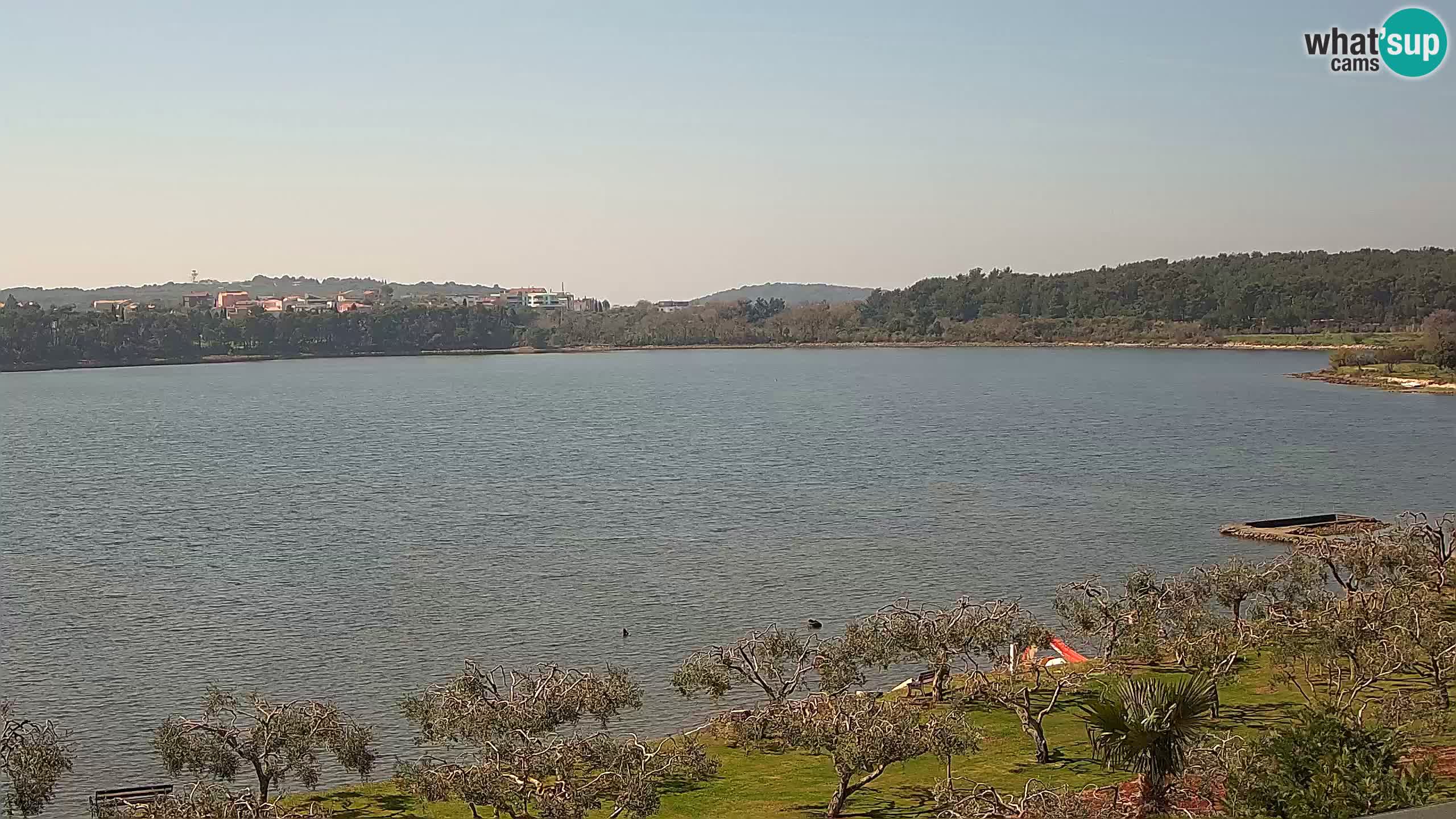 Web kamera uživo Pomer – Šćuza – Medulin – Istra – Hrvatska