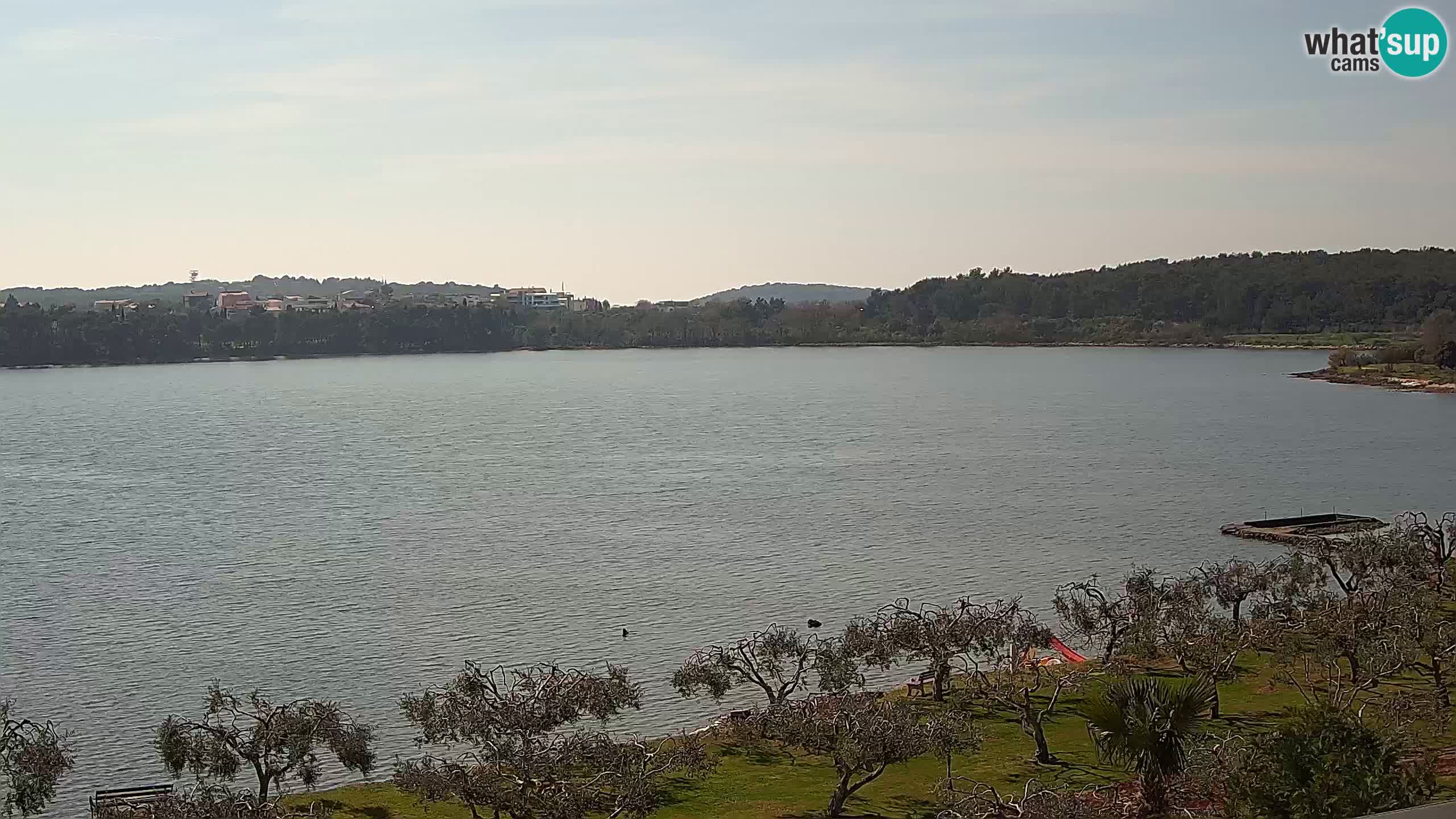 Webcam dal vivo Pomer – Šćuza – Medulin – Istria – Croazia