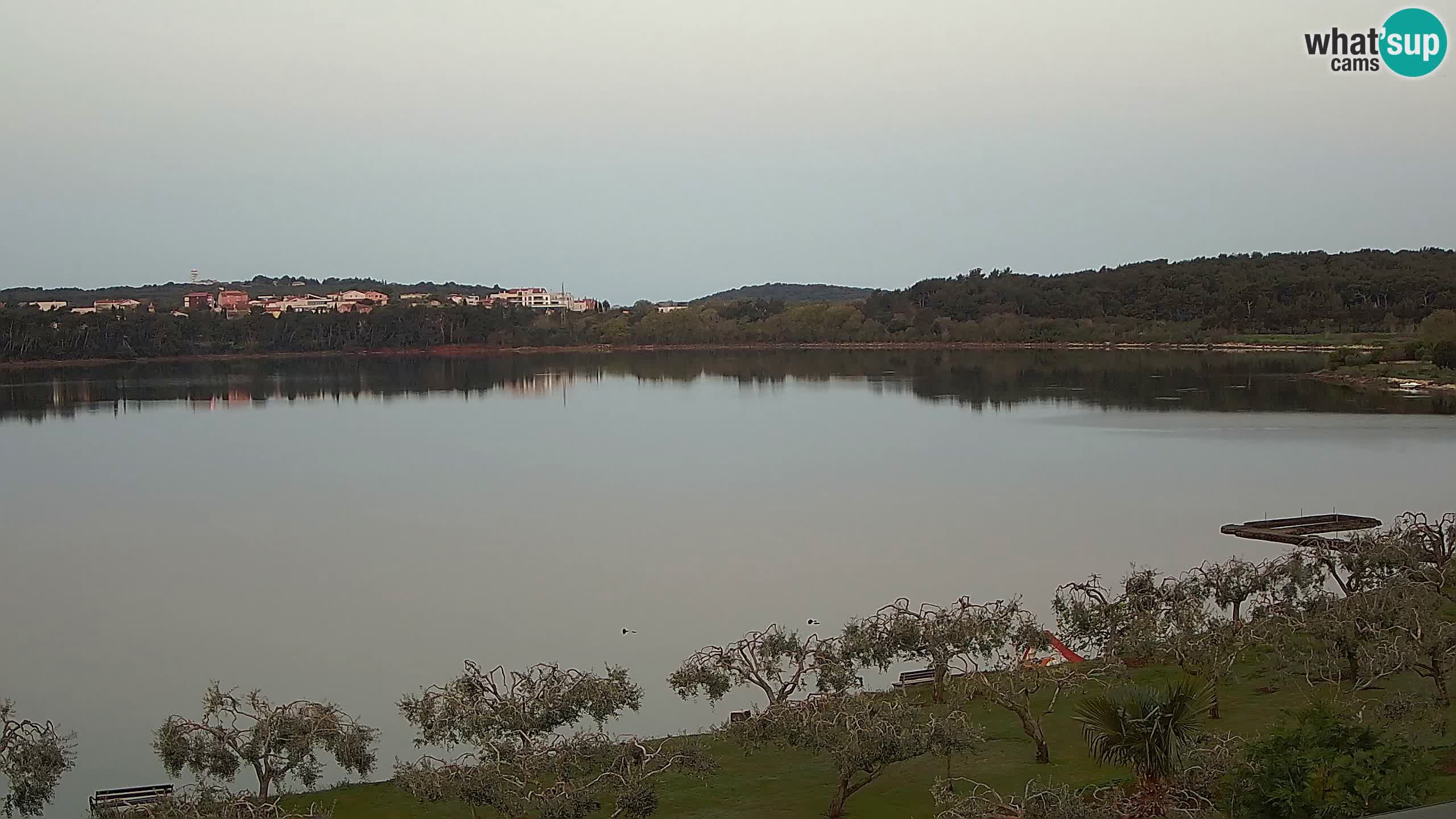 Web kamera uživo Pomer – Šćuza – Medulin – Istra – Hrvatska