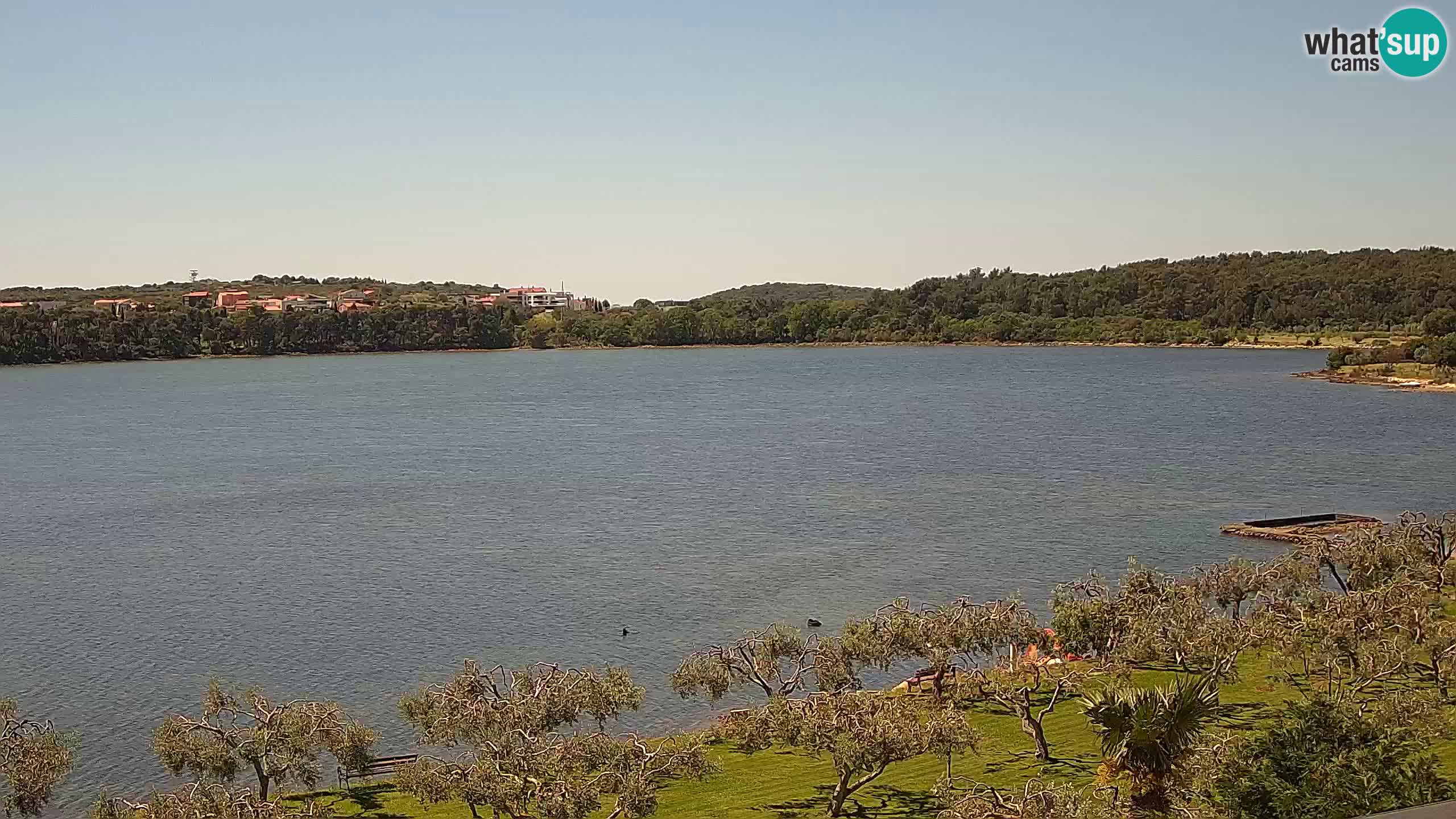 Spletna kamera v živo Pomer – Šćuza – Medulin – Istra – Hrvaška