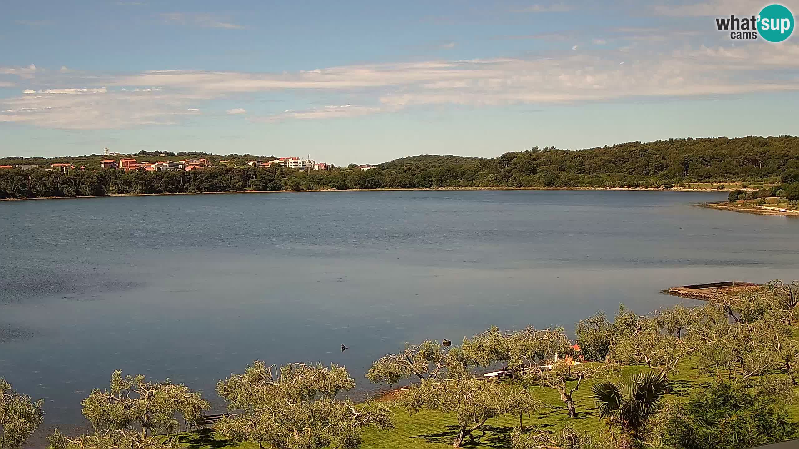 Webcam dal vivo Pomer – Šćuza – Medulin – Istria – Croazia