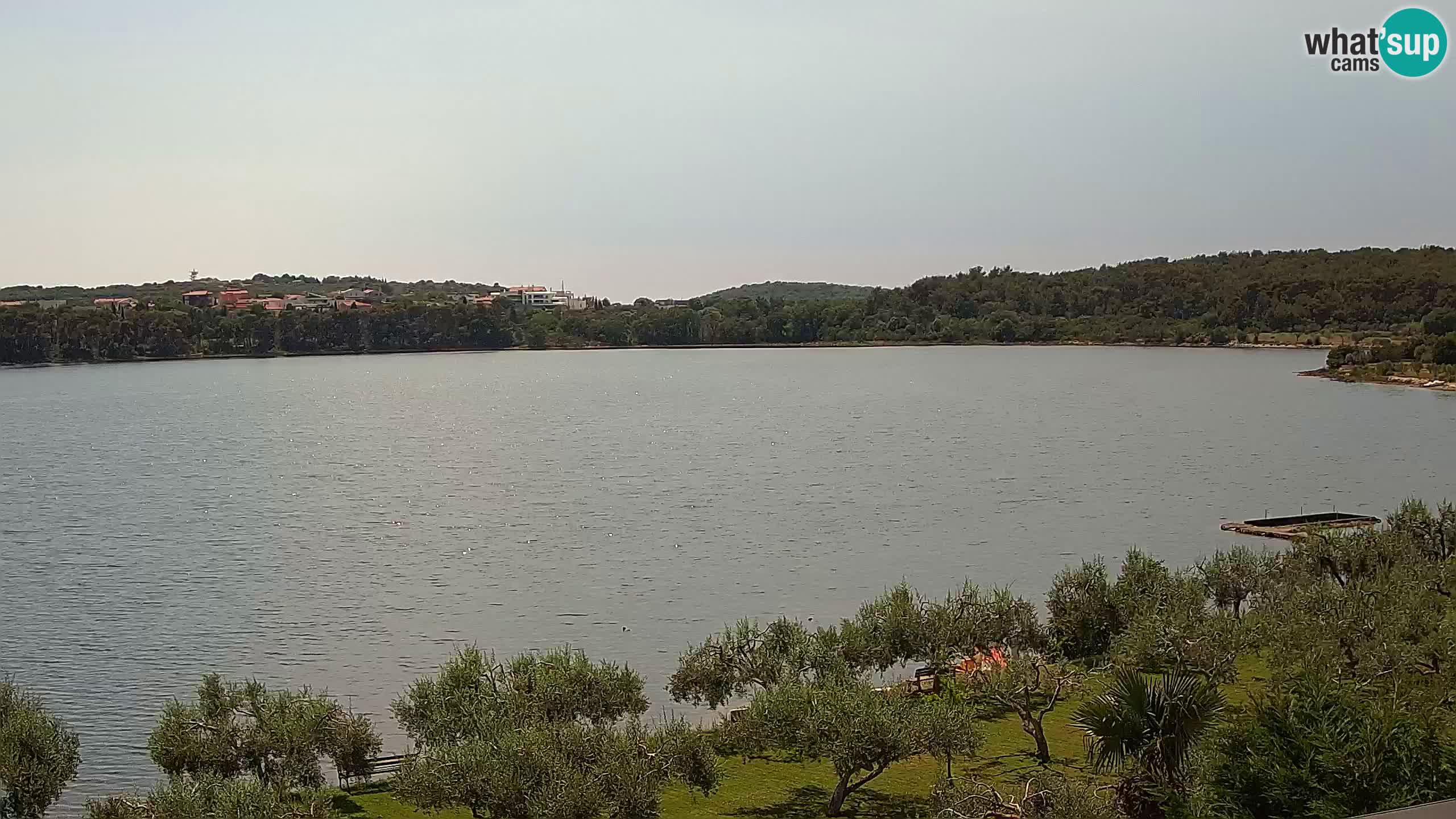 Spletna kamera v živo Pomer – Šćuza – Medulin – Istra – Hrvaška