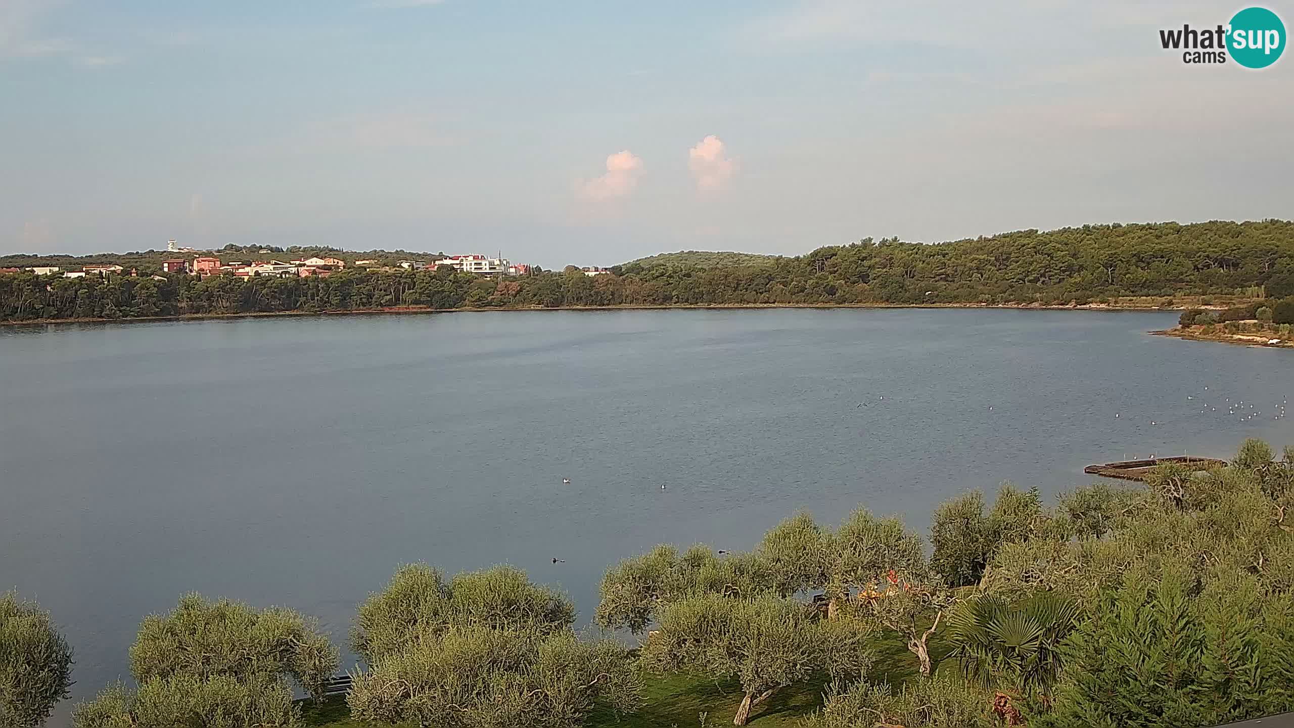 Webcam dal vivo Pomer – Šćuza – Medulin – Istria – Croazia
