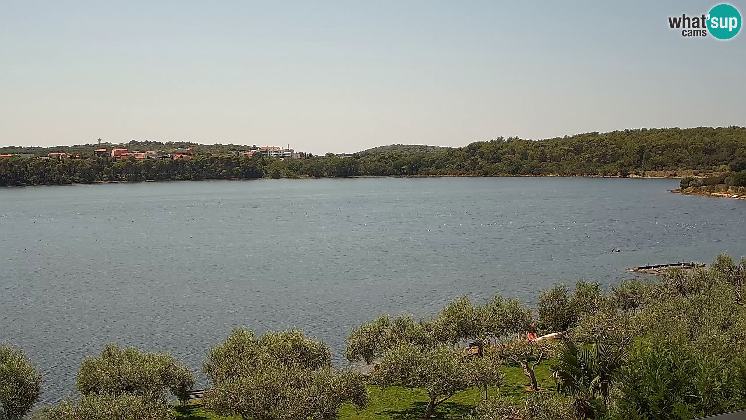 Webcam en vivo Pomer – Šćuza – Medulin – Istria – Croacia