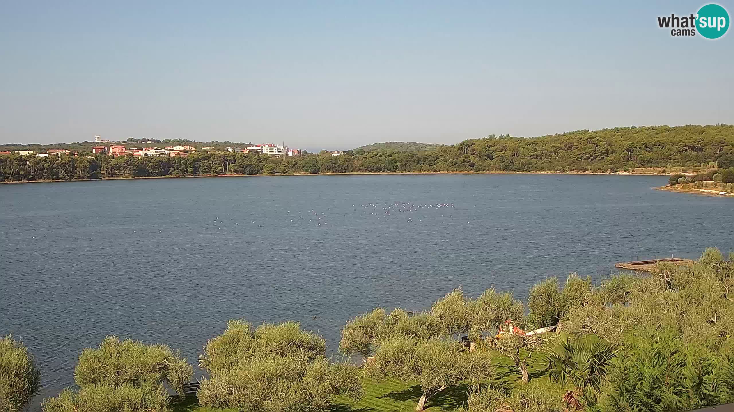 Webcam dal vivo Pomer – Šćuza – Medulin – Istria – Croazia