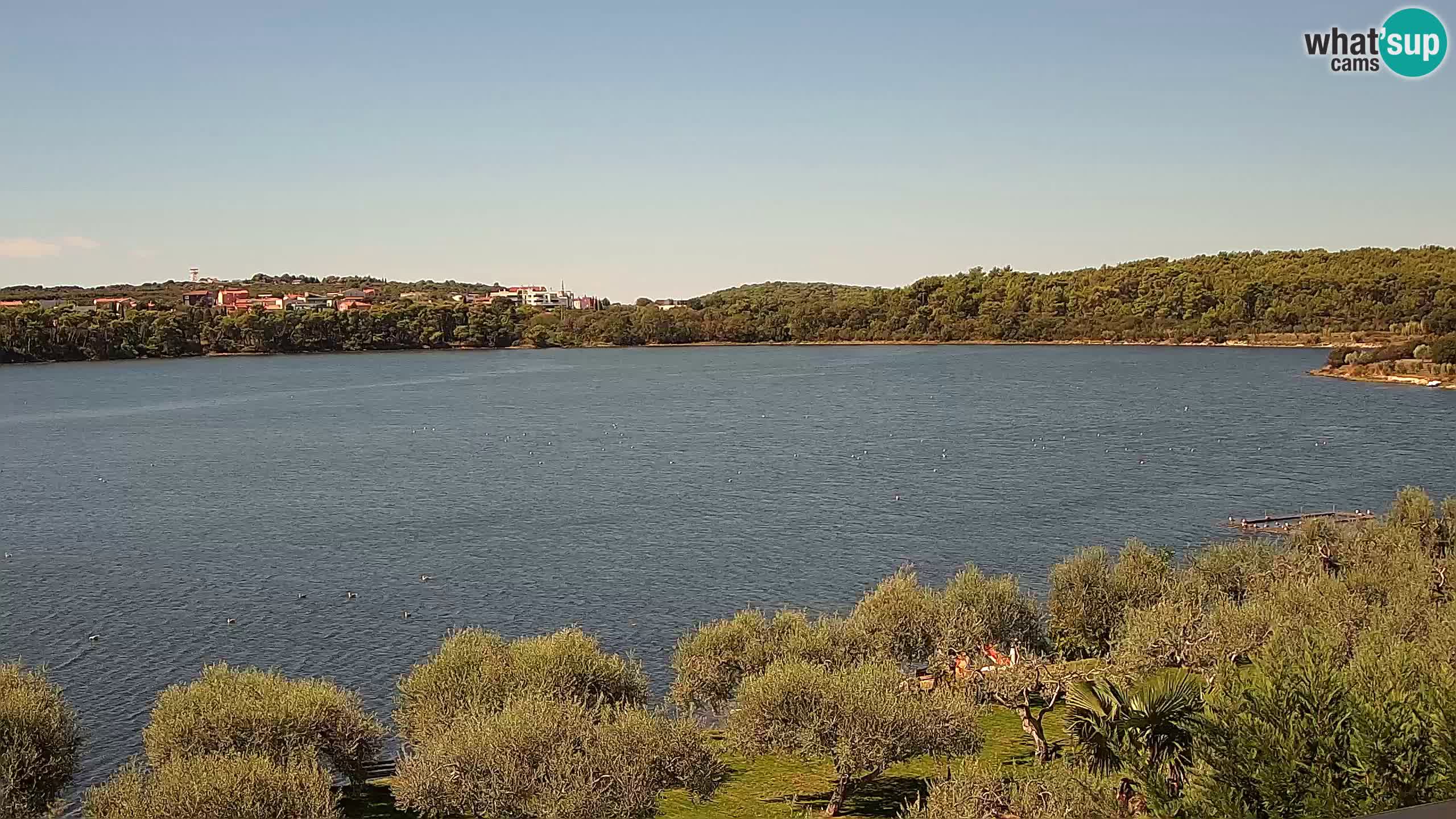 Webcam en vivo Pomer – Šćuza – Medulin – Istria – Croacia