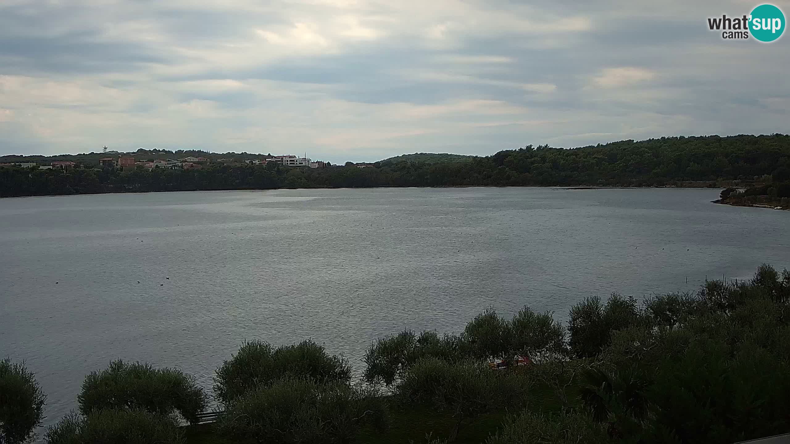 Web kamera uživo Pomer – Šćuza – Medulin – Istra – Hrvatska