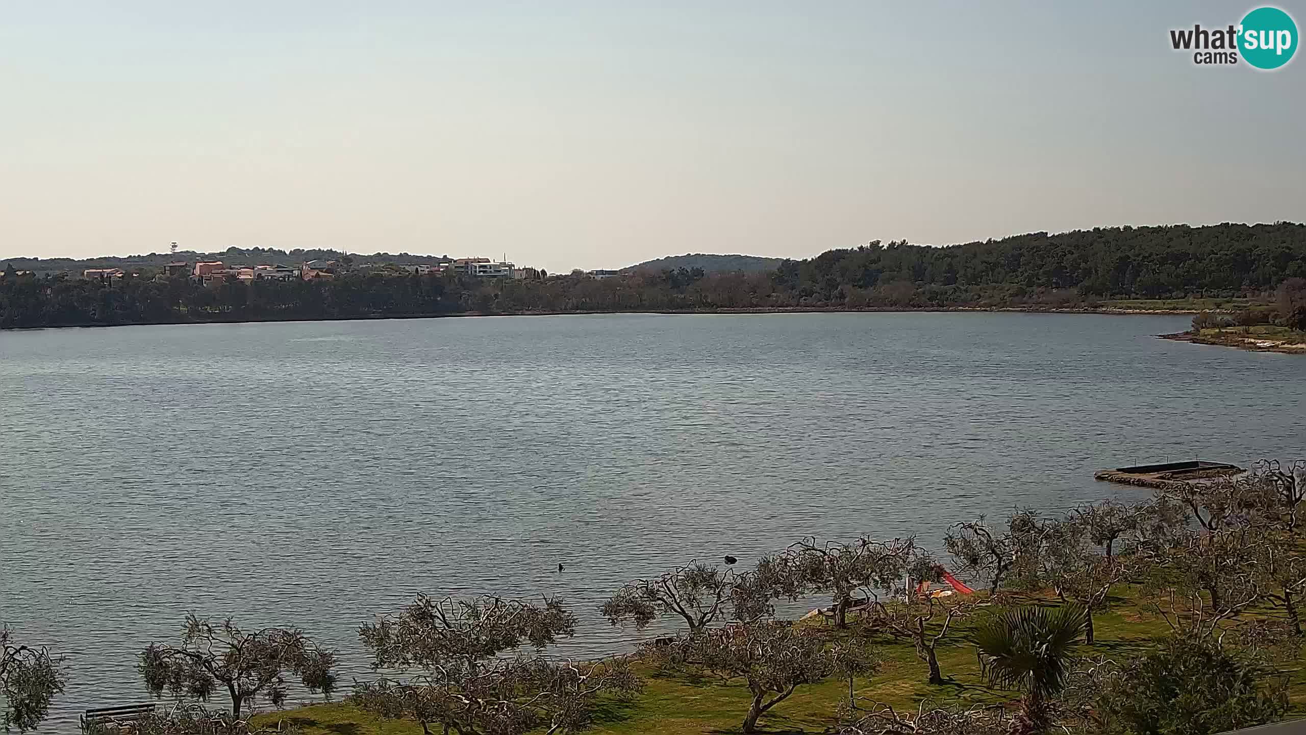 Web camera - Medulin