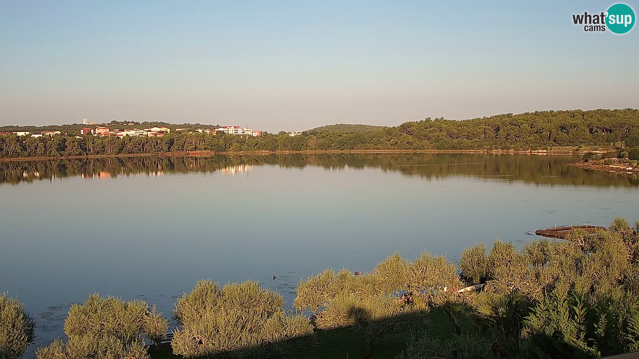 Kamera na żywo - Medulin