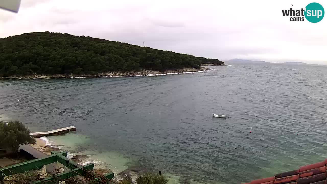 Postira – Prja bay