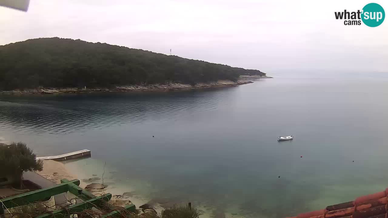 Postira – Prja bay