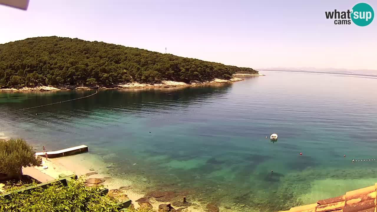 Postira – Prja bay