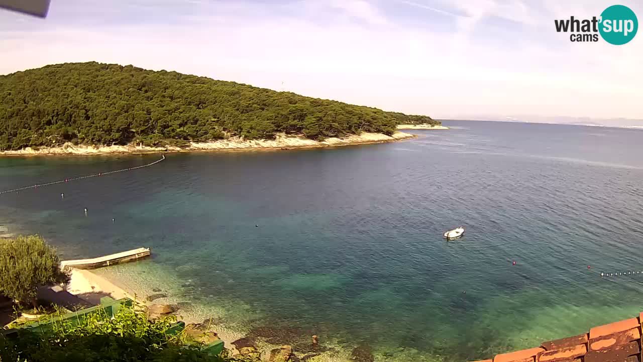 Postira – Prja bay