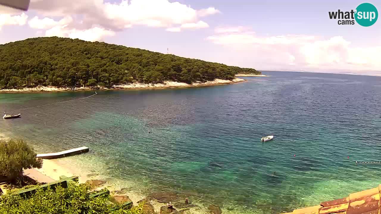 Postira – Prja bay