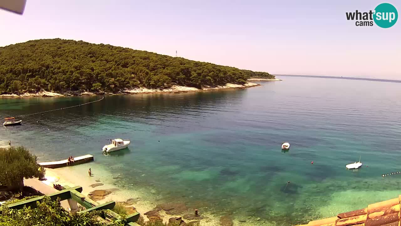 Postira – Prja bay
