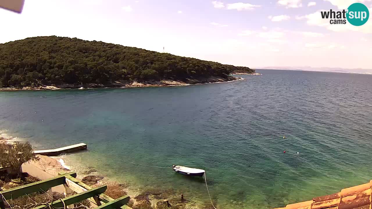 Postira – Prja bay