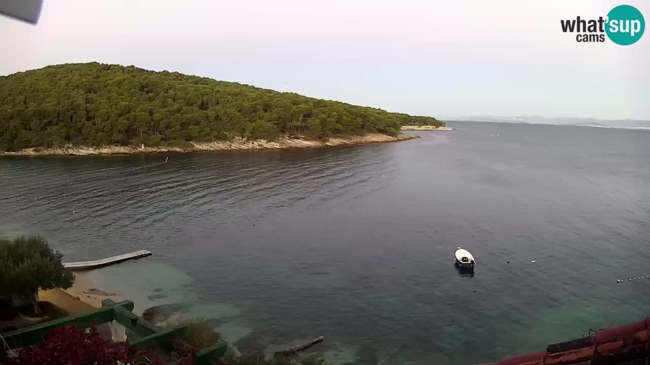 Webcam - Postira - Bucht Prja