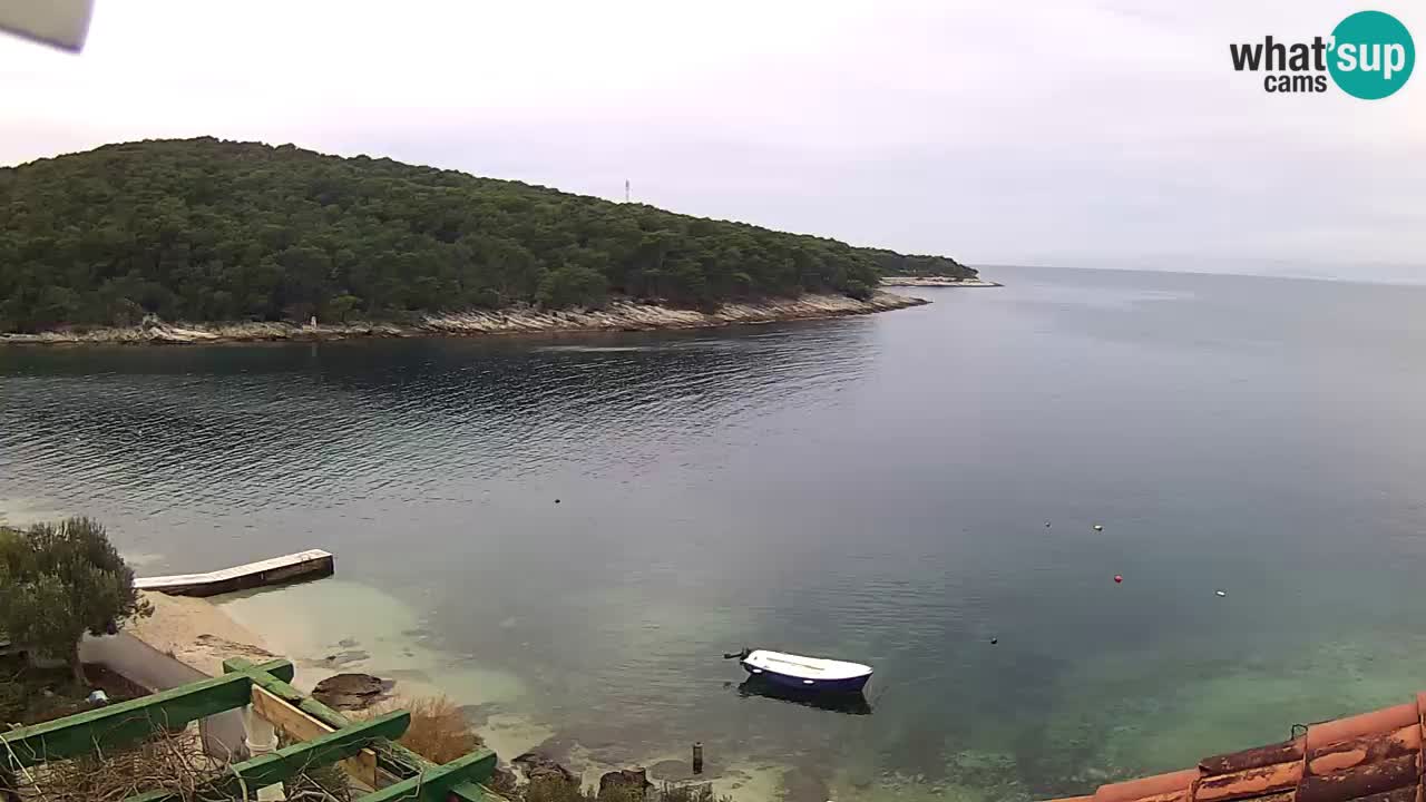Kamera na żywo - Postira - zatoka Prja