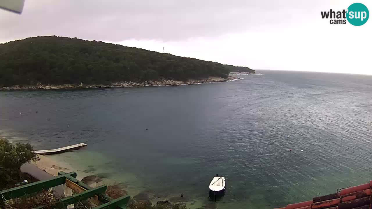 Web camera - Postira - baia Prja