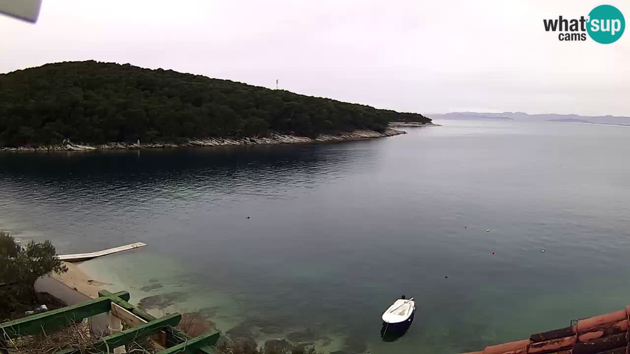 Kamera na żywo - Postira - zatoka Prja