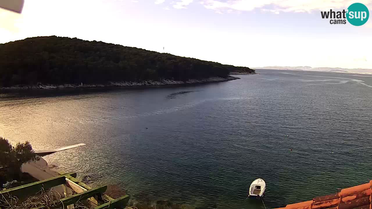 Webcam - Postira - Prja Bay
