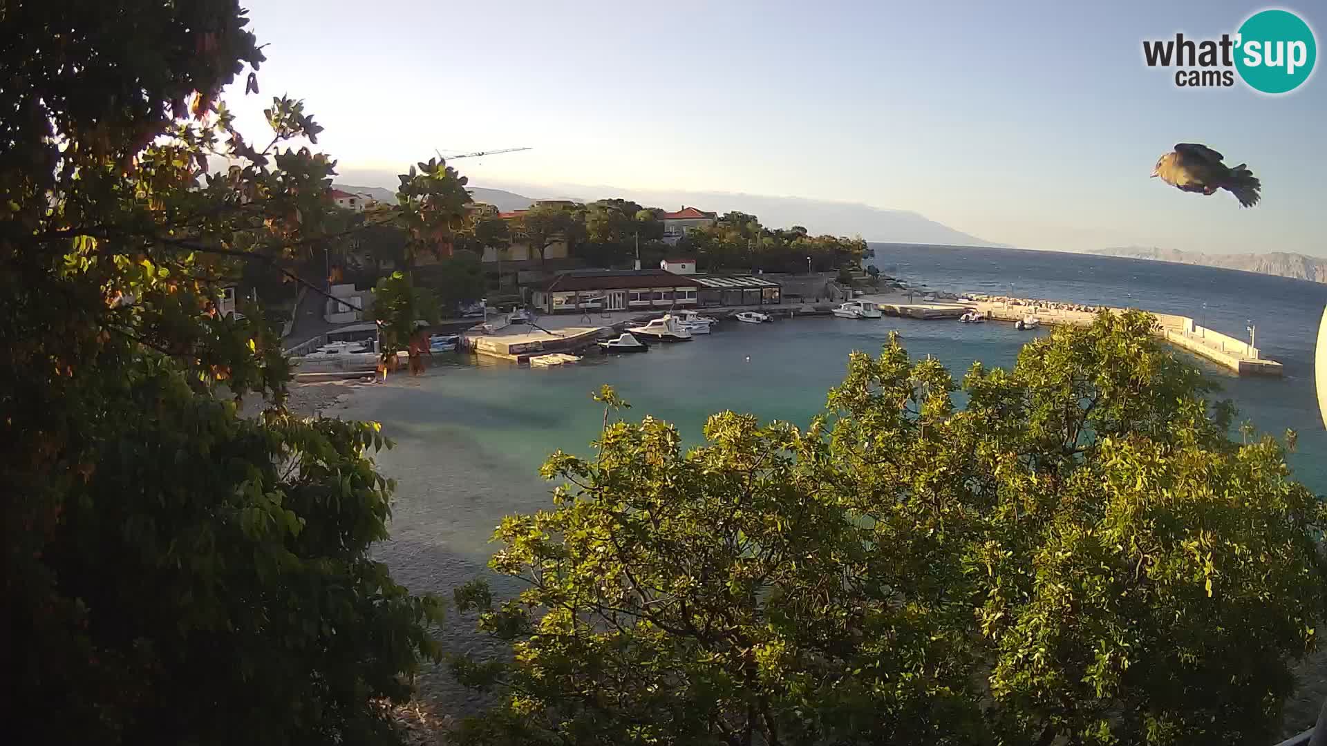 Webcam Live Povile – Beach (Novi Vinodolski)