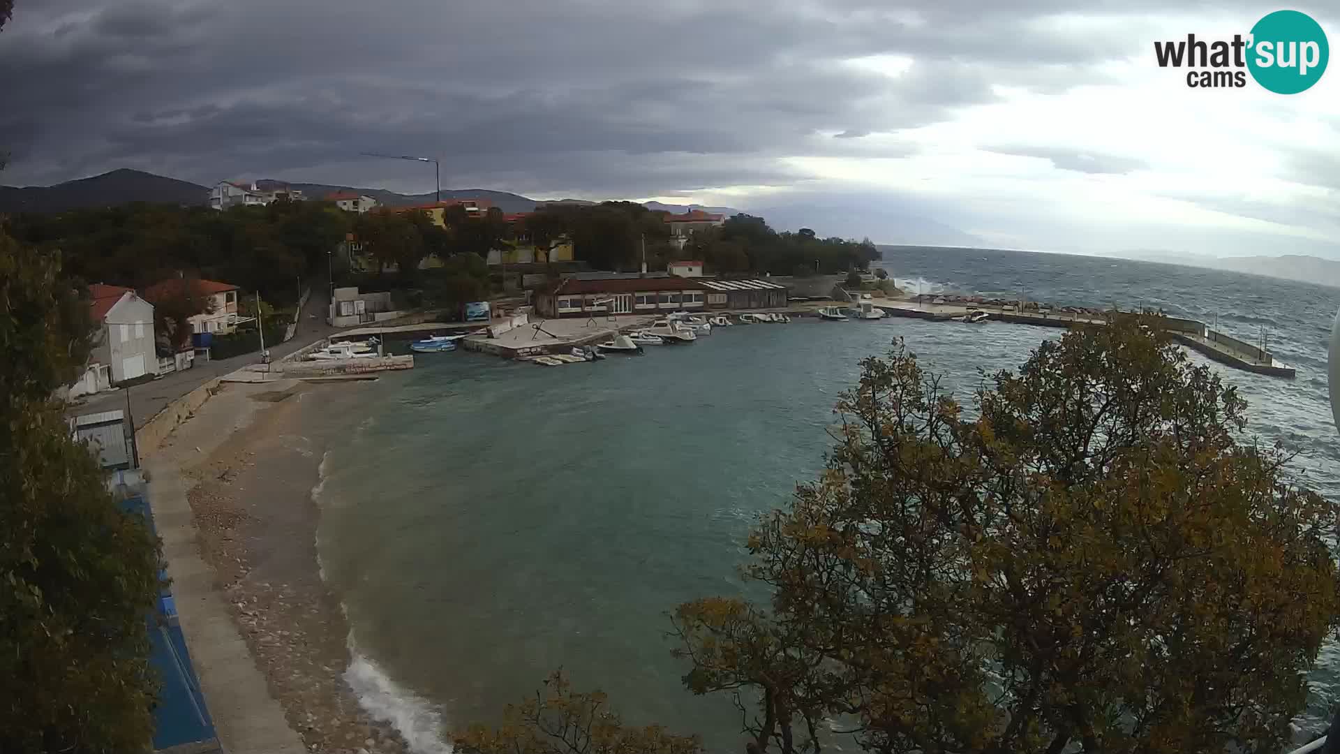 Kamera na żywo - Povile