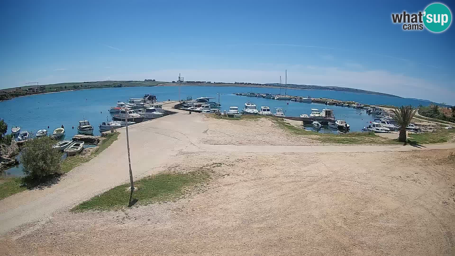 Camera en vivo Povljana – Pag isla