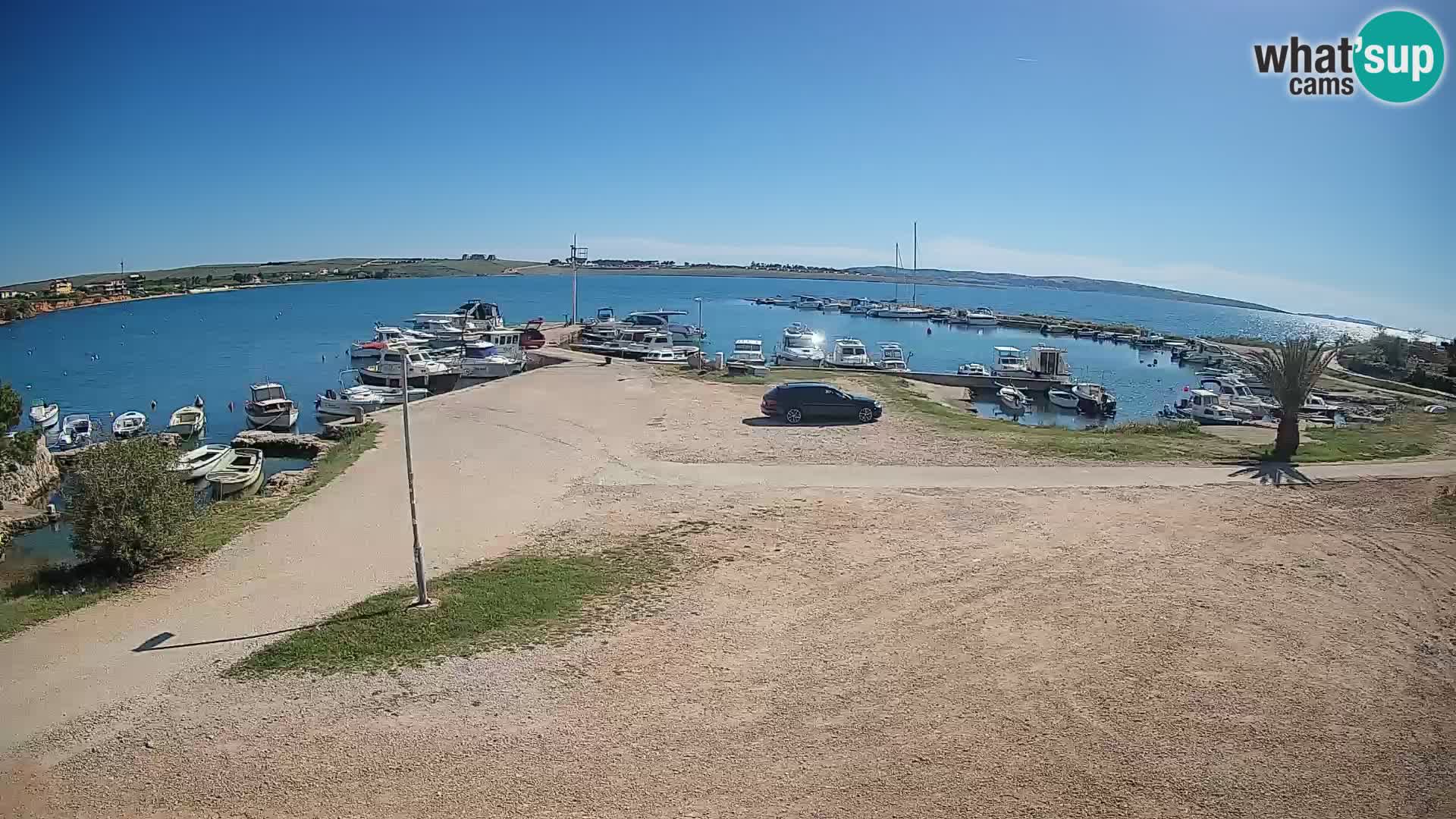 Camera en vivo Povljana – Pag isla