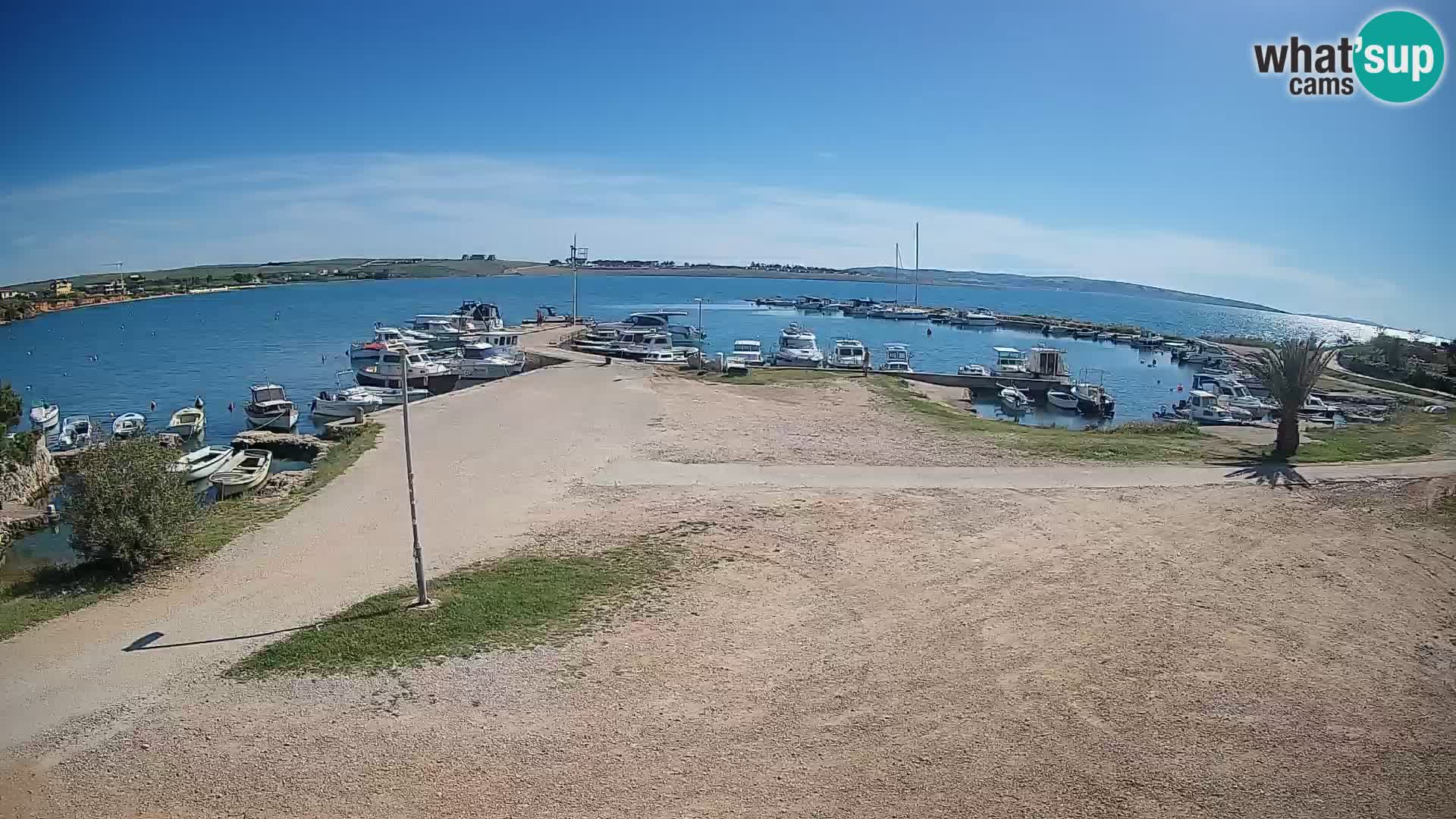Camera en vivo Povljana – Pag isla