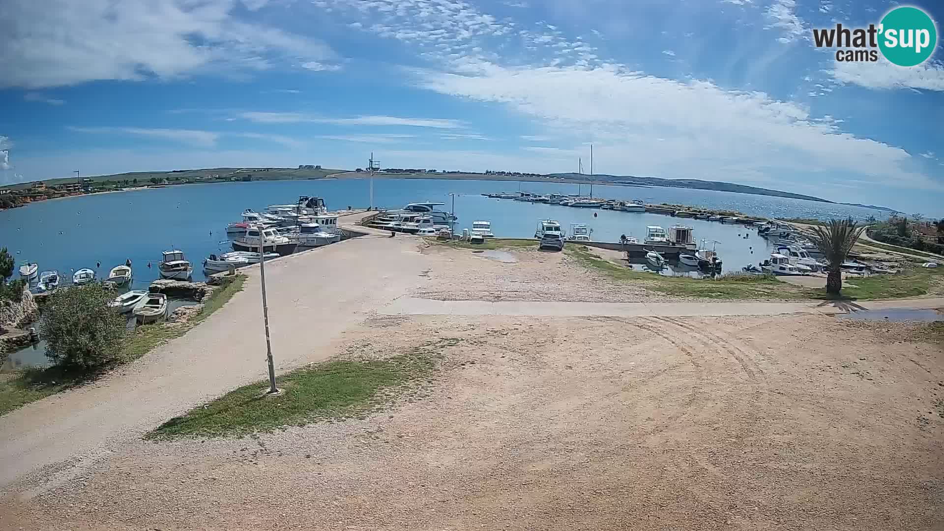 Camera en vivo Povljana – Pag isla