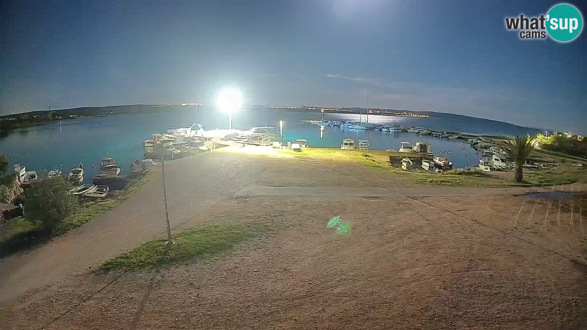Camera en vivo Povljana – Pag isla
