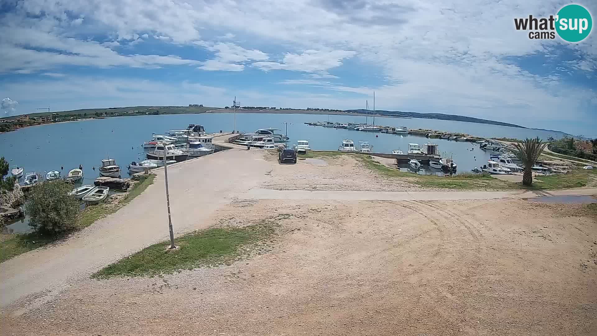 Camera en vivo Povljana – Pag isla