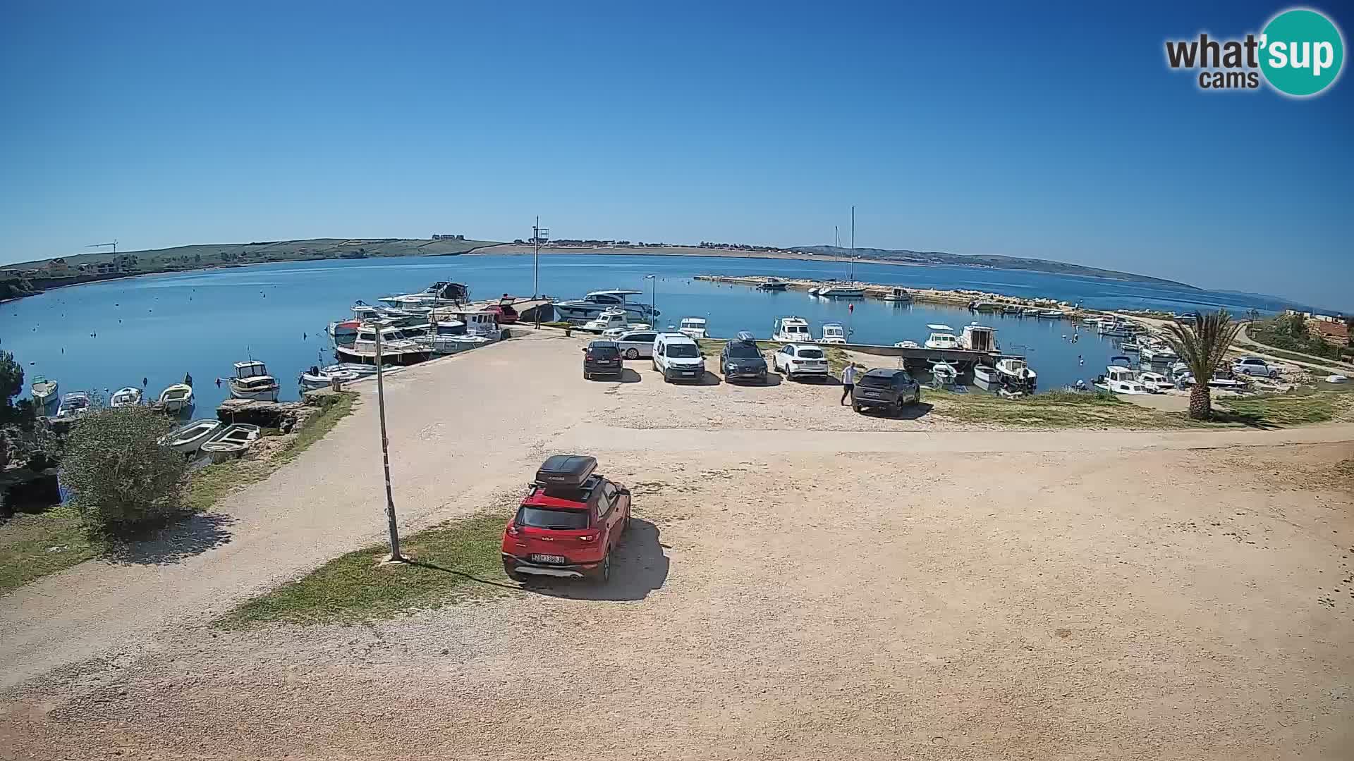 Camera en vivo Povljana – Pag isla