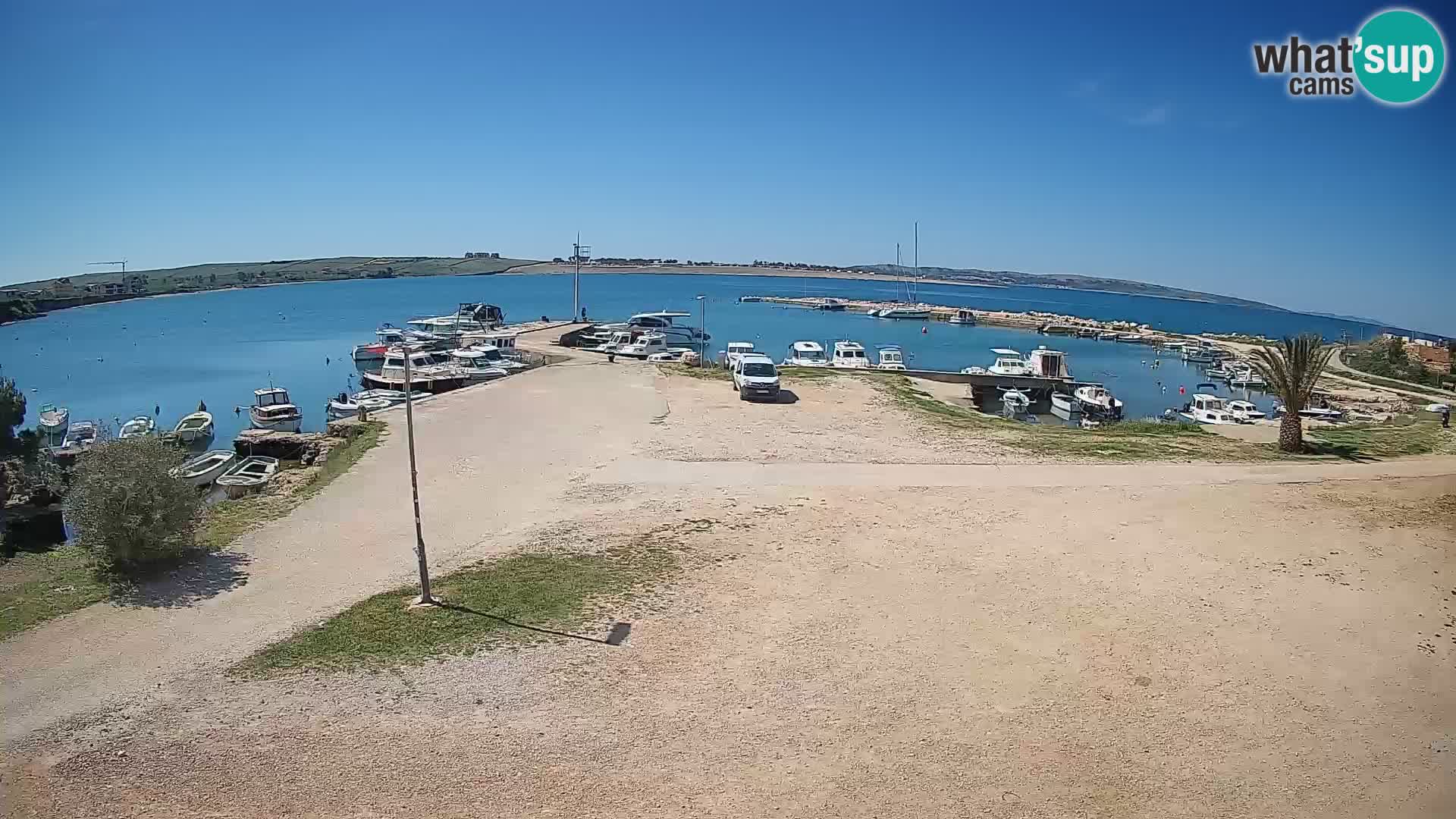 Camera en vivo Povljana – Pag isla