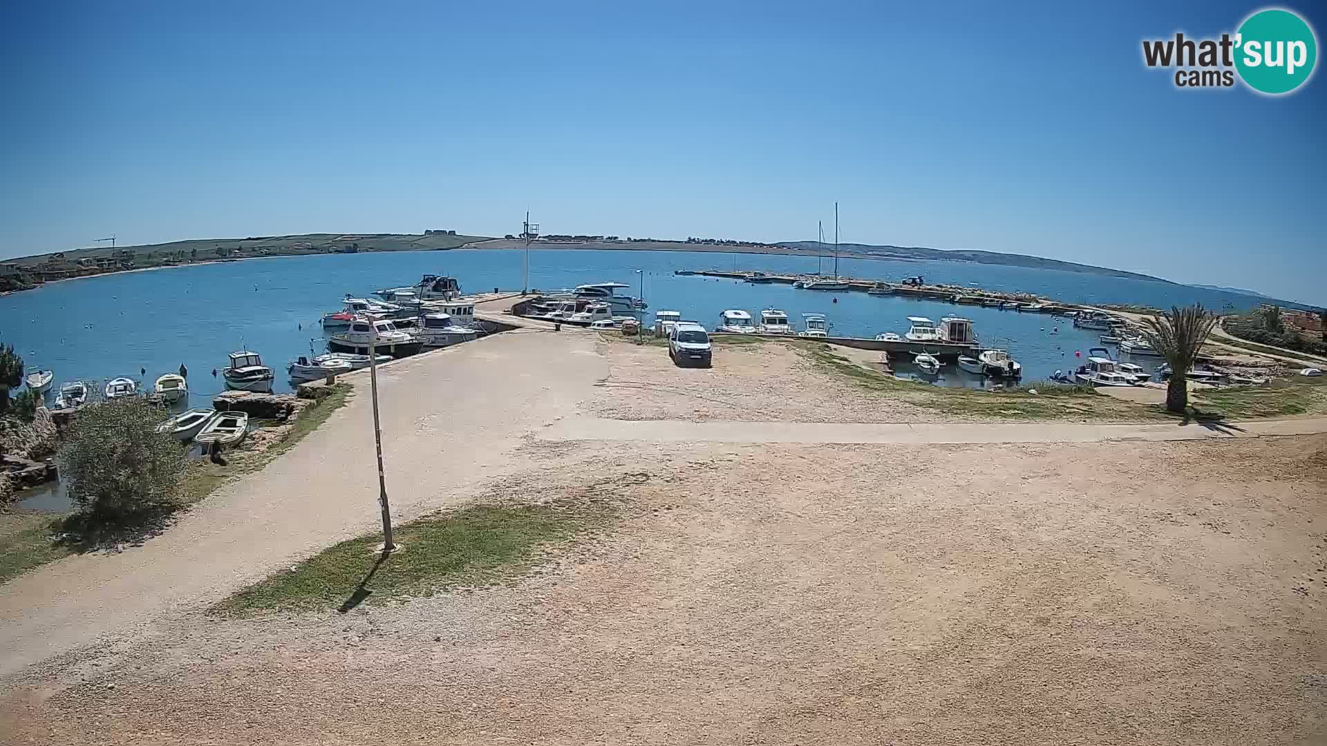 Webcam Povljana – Pag insel