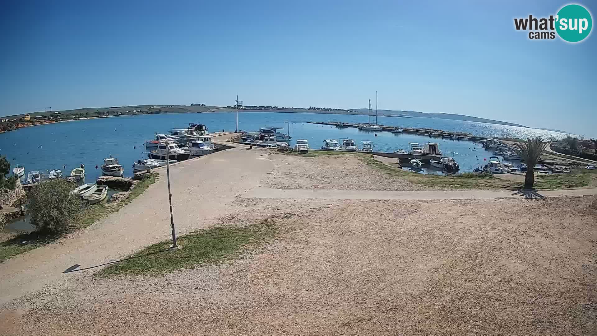 Camera en vivo Povljana – Pag isla