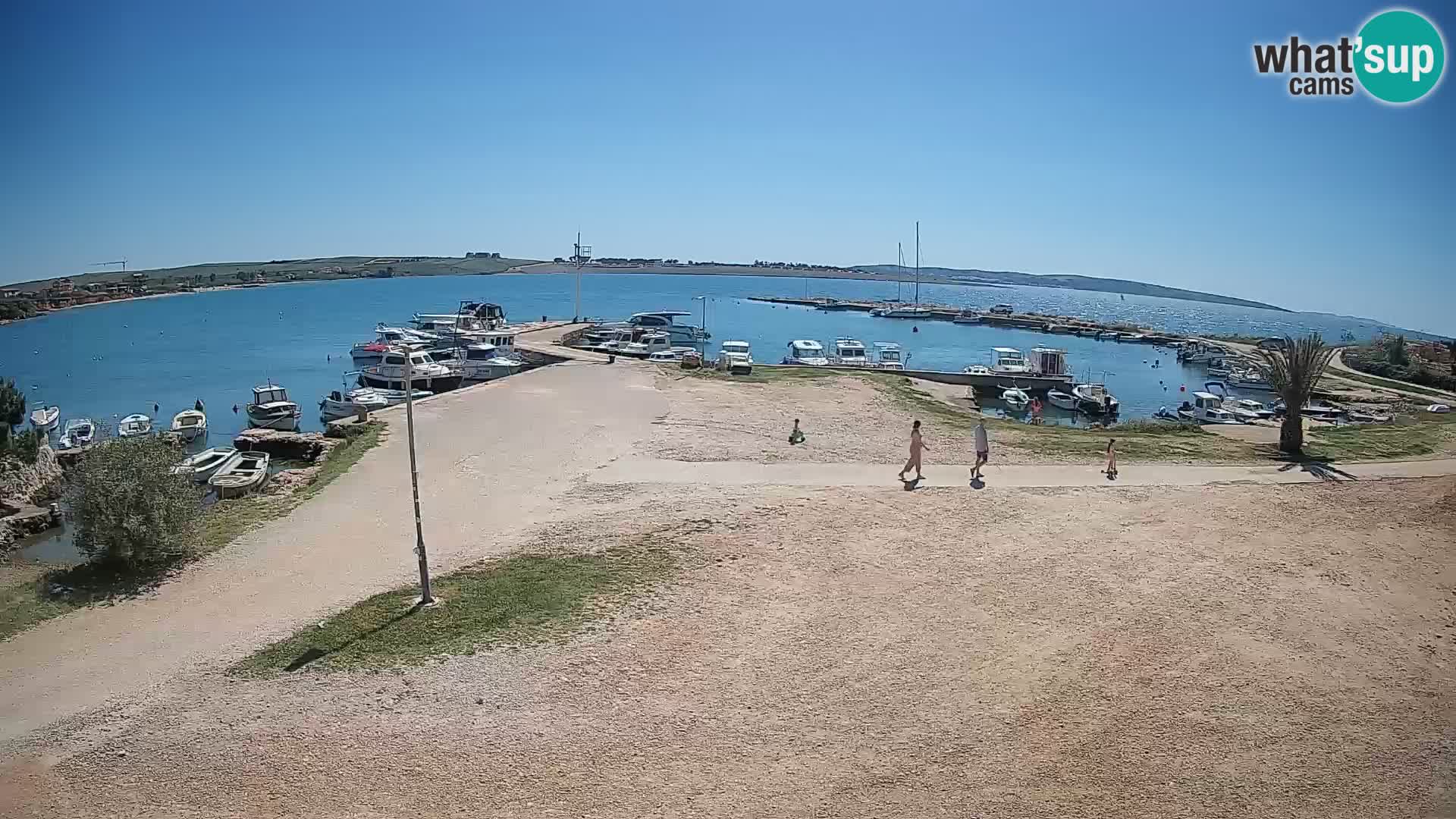 Camera en vivo Povljana – Pag isla