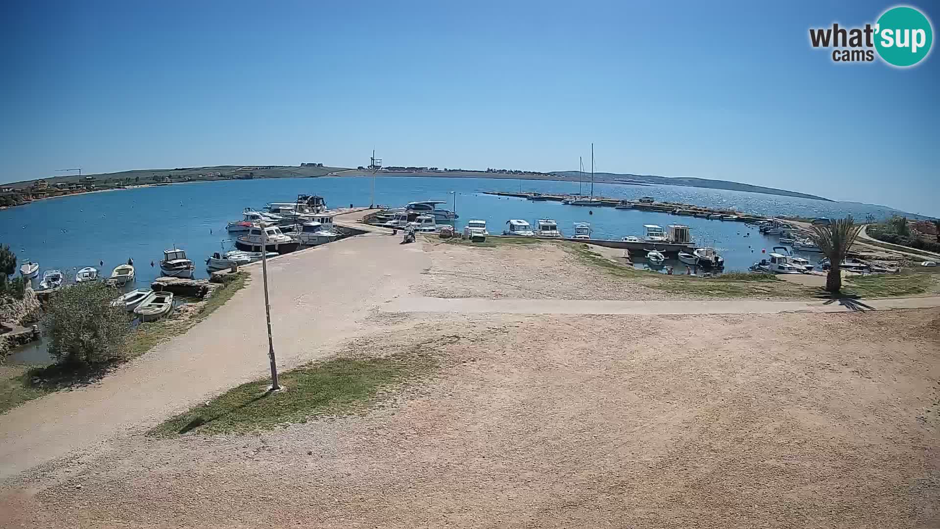 Camera en vivo Povljana – Pag isla