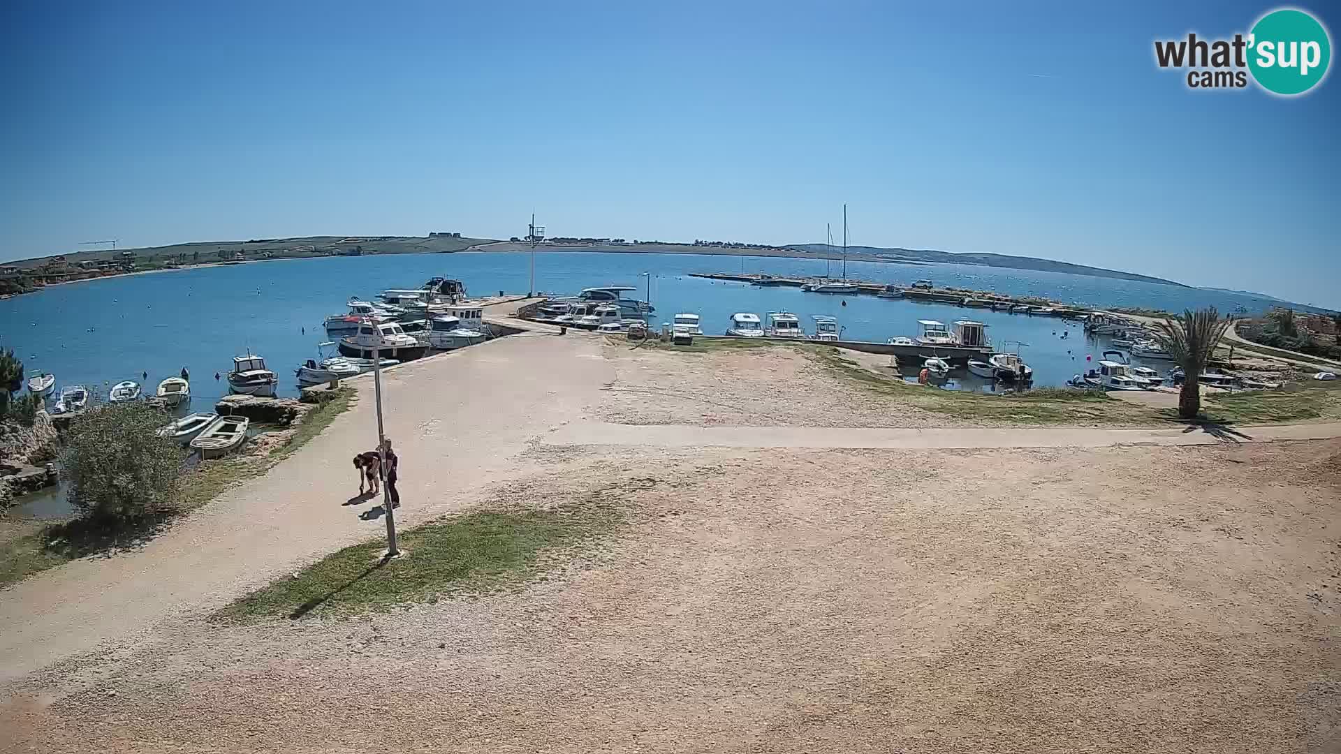 Kamera v živo Povljana – otok Pag